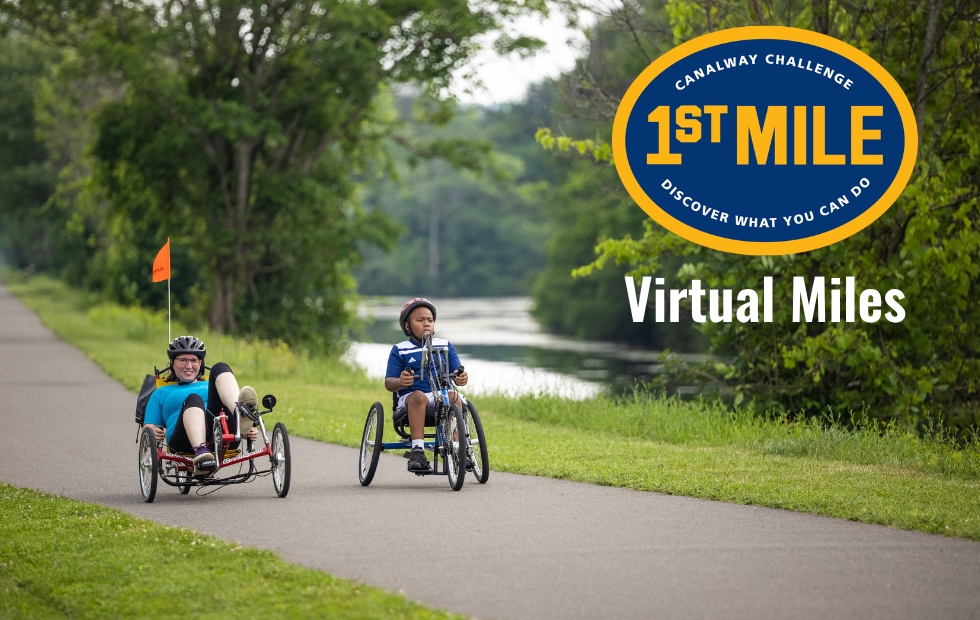 Virtual Miles for Website.jpg