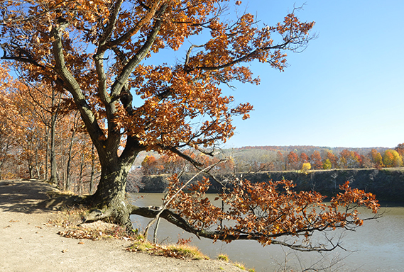 Peebles Island State Park