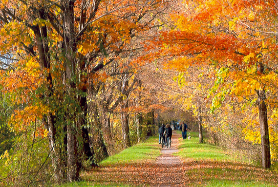 Chittenango_AutumnTowpath_Bushnell_569x384.jpg
