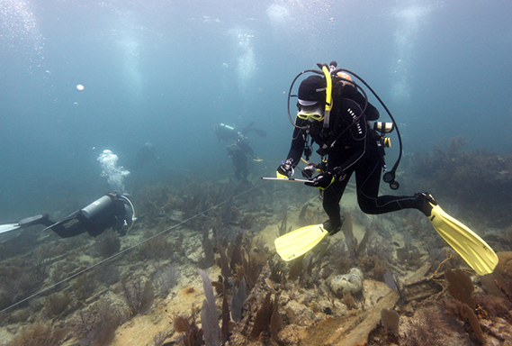 LearningHub_NOAA SCUBA diver 569x384.jpg