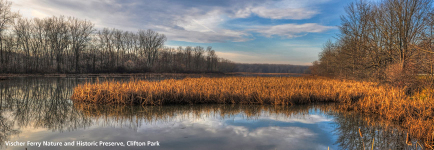 VischerFerry_NatureoftheOldErie_KarlBarth2013.jpg